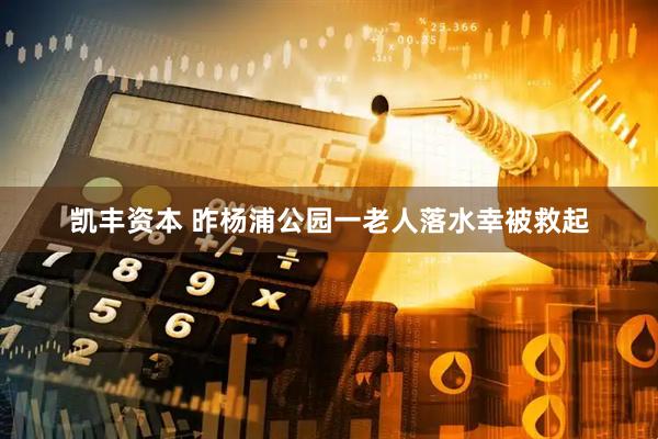 凯丰资本 昨杨浦公园一老人落水幸被救起