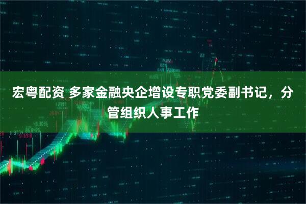 宏粤配资 多家金融央企增设专职党委副书记，分管组织人事工作
