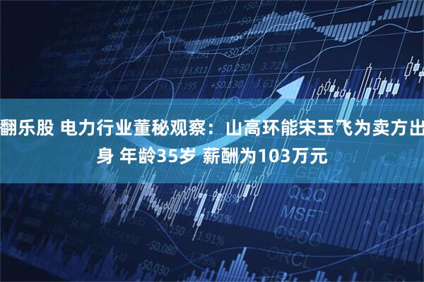 翻乐股 电力行业董秘观察：山高环能宋玉飞为卖方出身 年龄35岁 薪酬为103万元