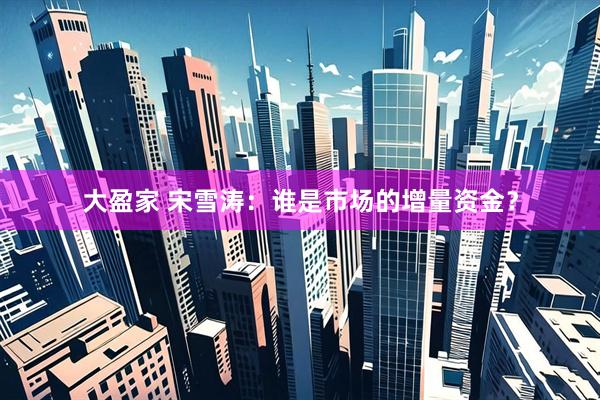 大盈家 宋雪涛：谁是市场的增量资金？