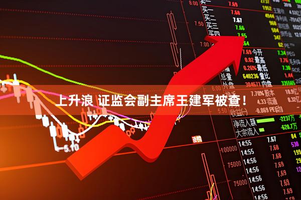 上升浪 证监会副主席王建军被查！