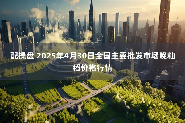 配操盘 2025年4月30日全国主要批发市场晚籼稻价格行情